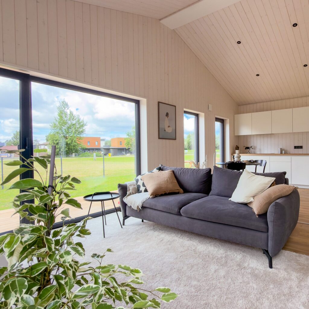Living 80 living area